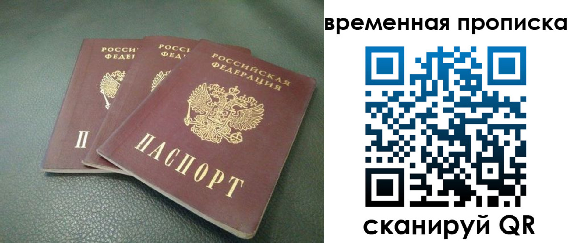 прописка гарантия в Кандалакше